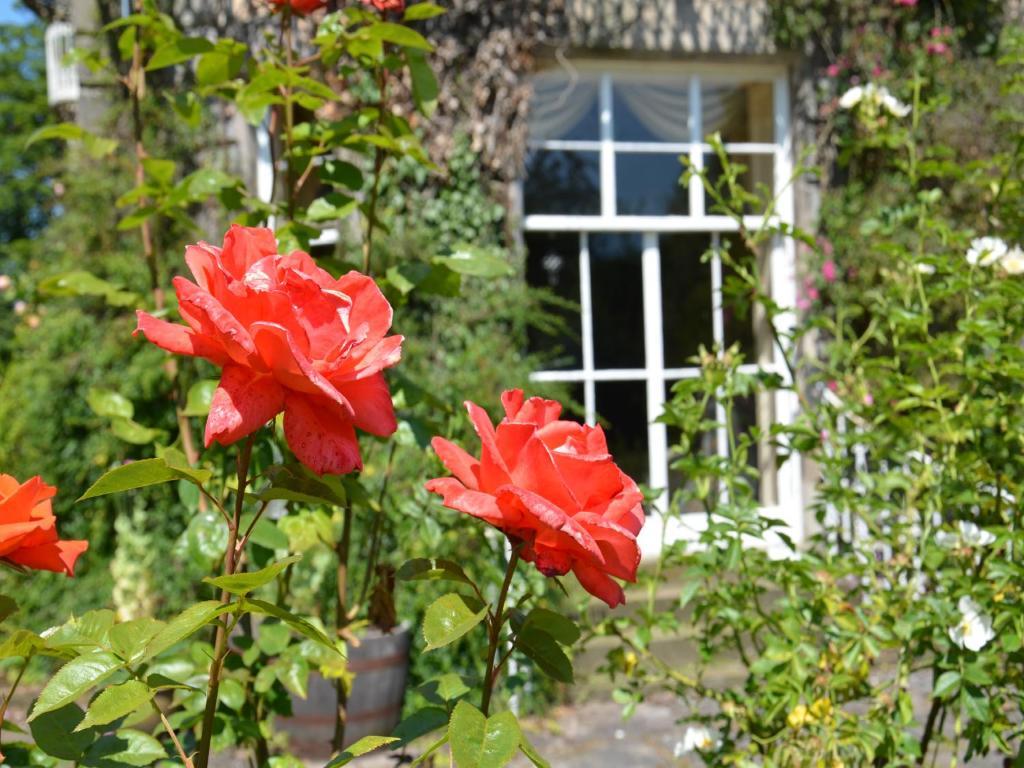 Powis House B&B Stirling Zewnętrze zdjęcie