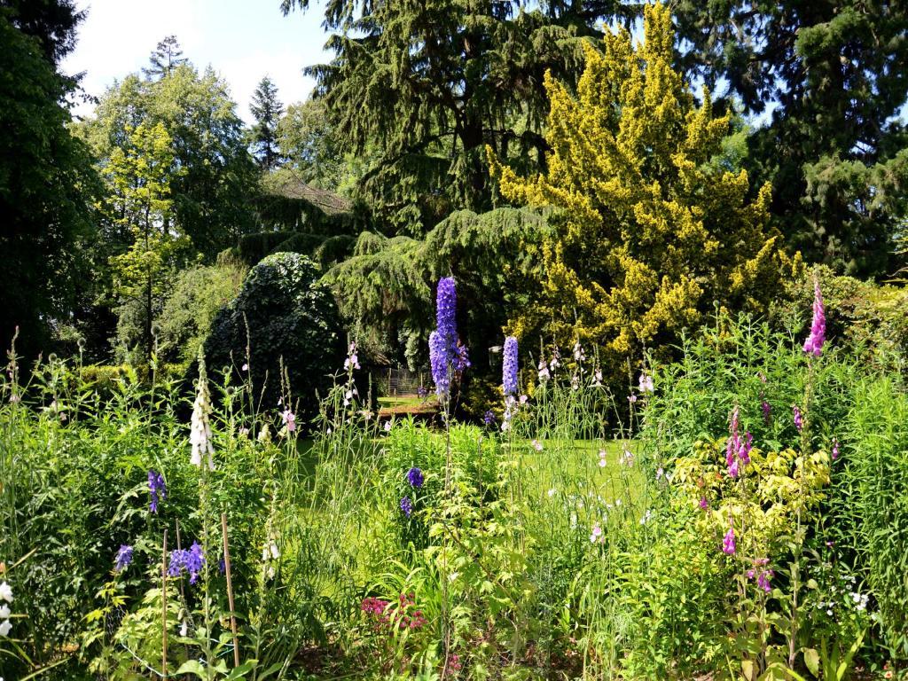 Powis House B&B Stirling Zewnętrze zdjęcie